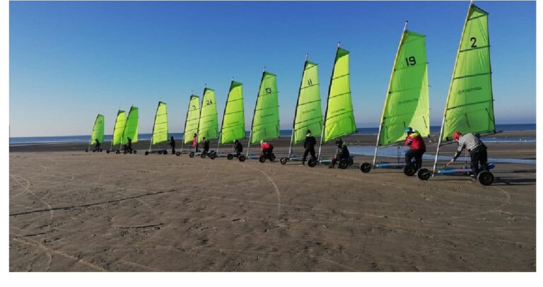 Char à voile Adulte